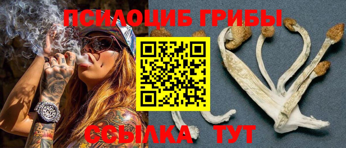 Галлюциногенные грибы GOLDEN TEACHER Пушкино