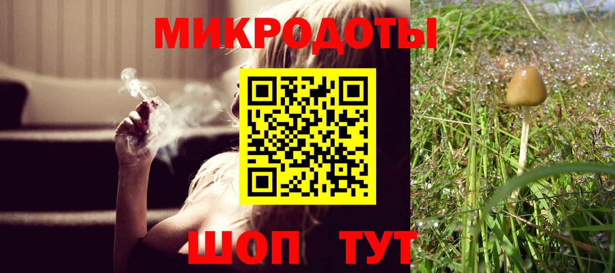 где найти   Псилоцибиновые грибы MAGIC MUSHROOMS  Вход с VPN  Пушкино 